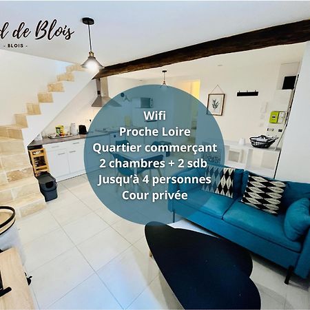 2 Suites, Cour Privee, Climatisation, Le Nid De Blois Vienne Zewnętrze zdjęcie