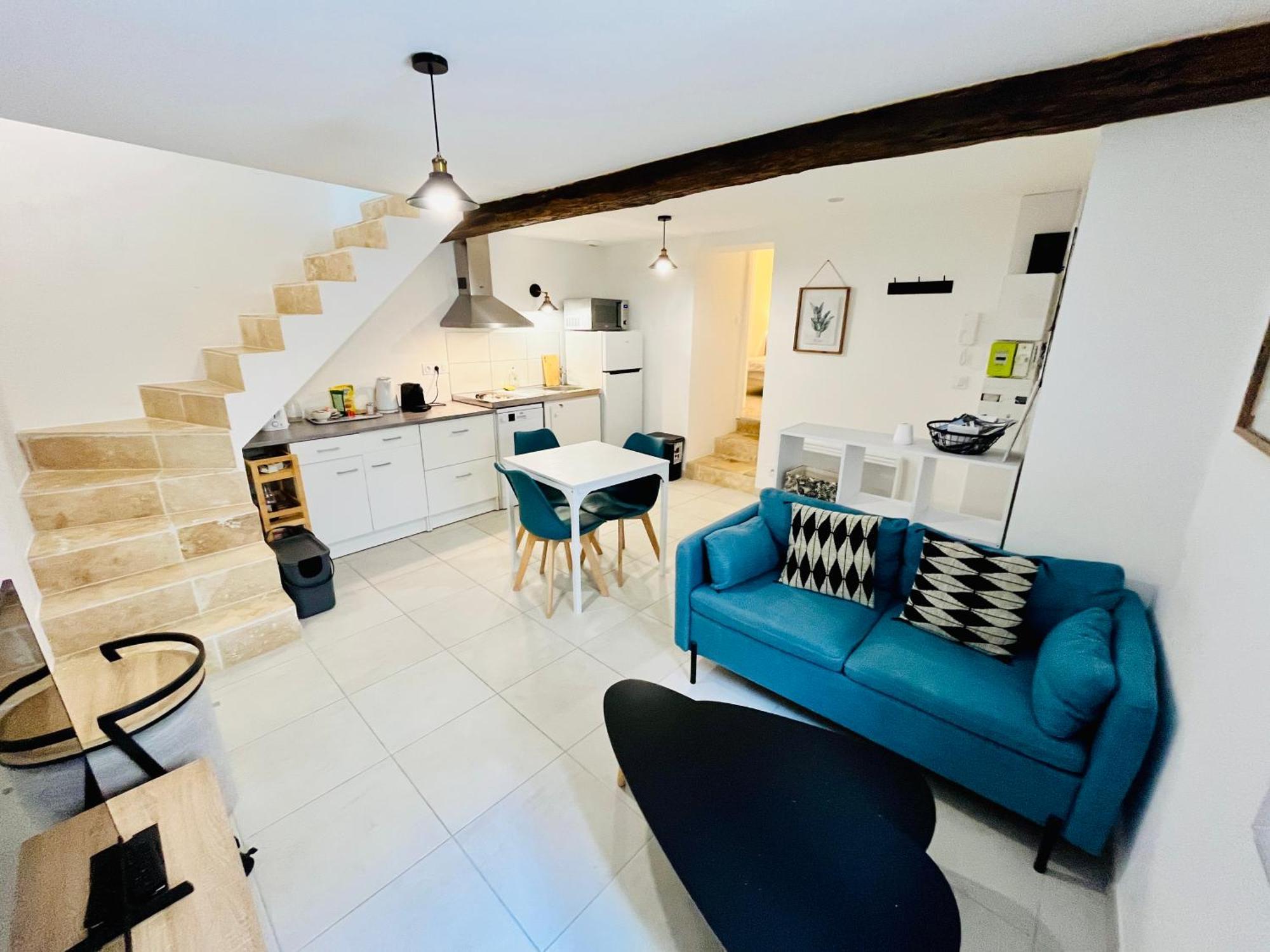 2 Suites, Cour Privee, Climatisation, Le Nid De Blois Vienne Zewnętrze zdjęcie