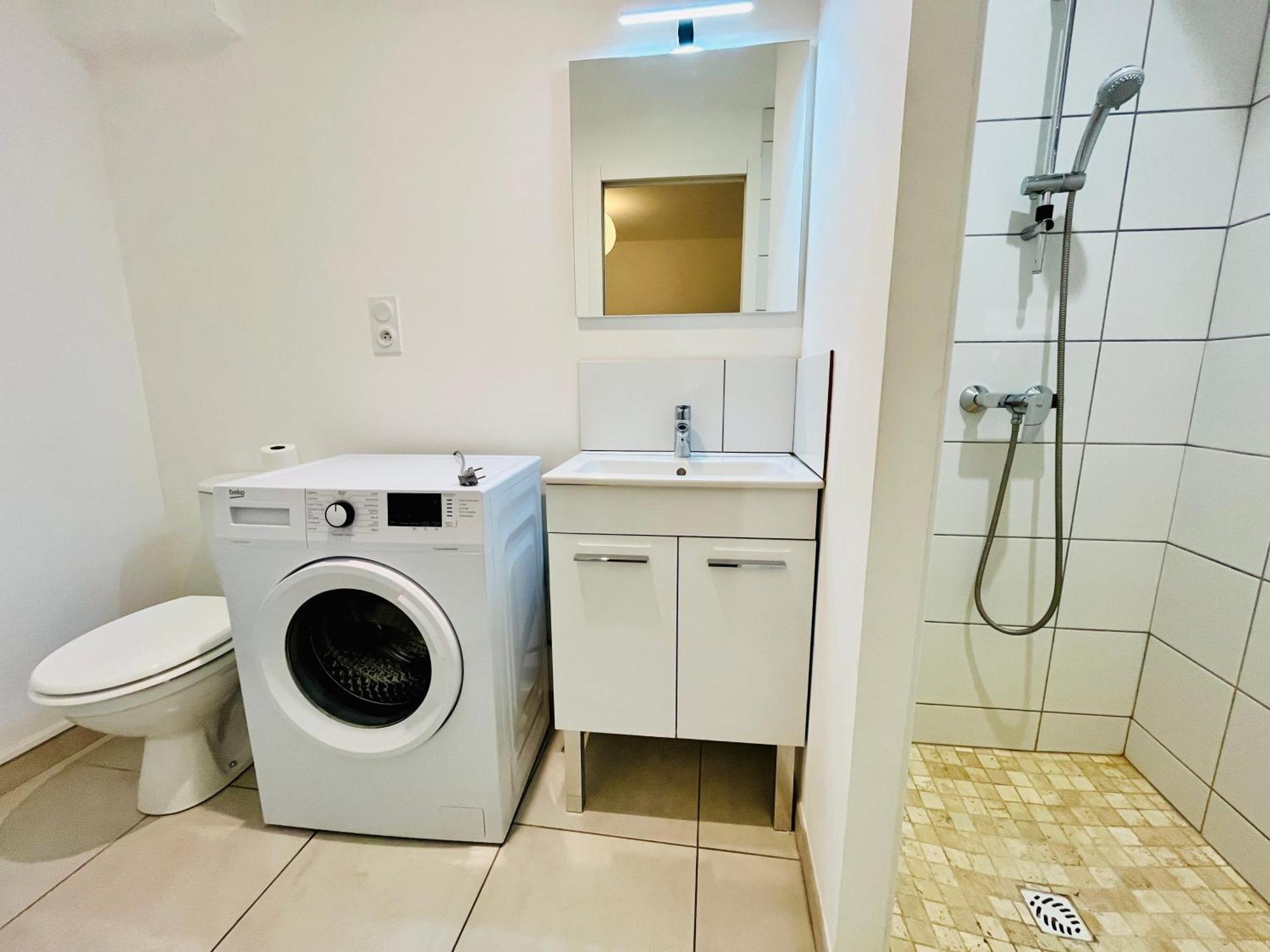 2 Suites, Cour Privee, Climatisation, Le Nid De Blois Vienne Zewnętrze zdjęcie