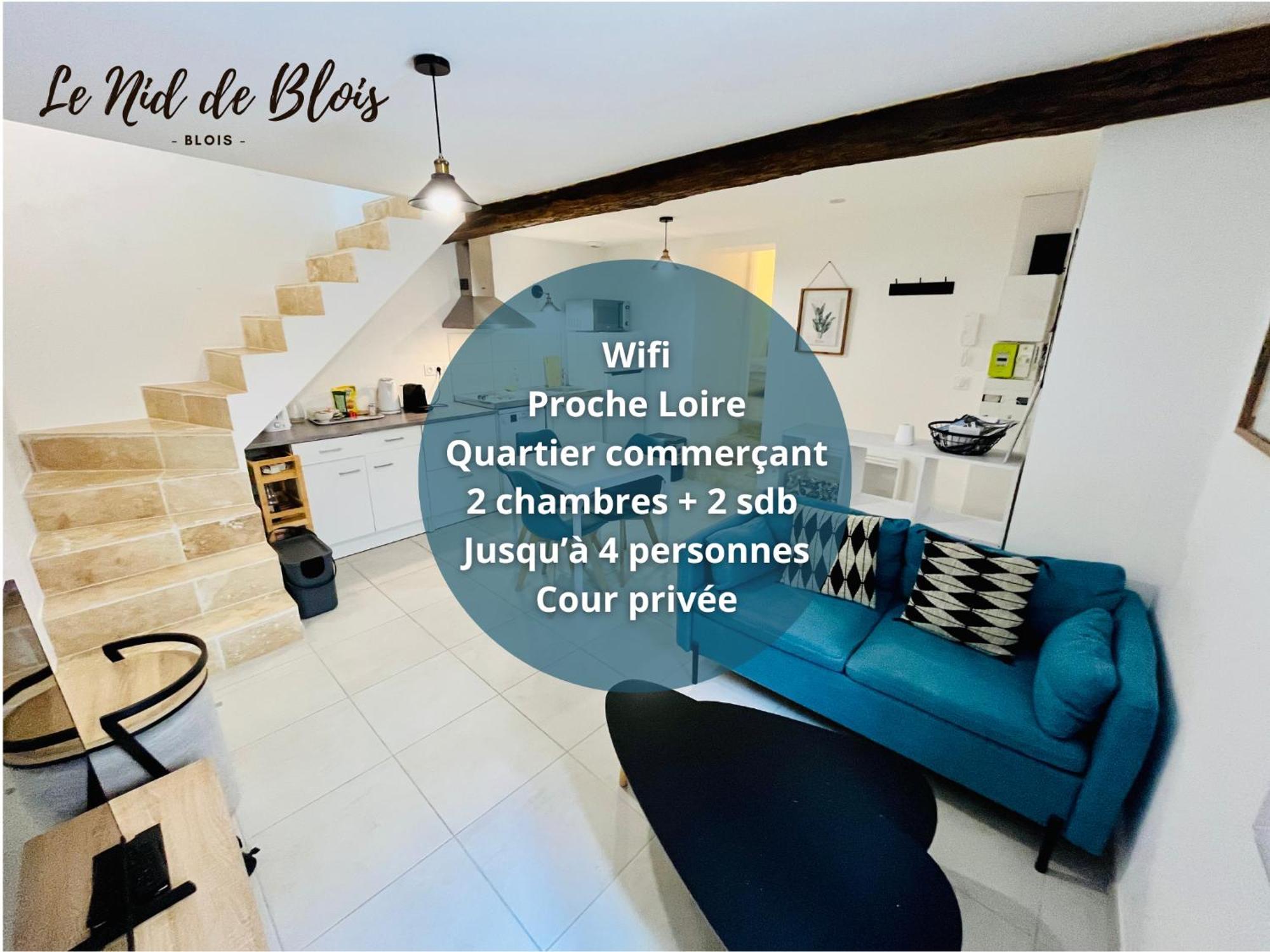 2 Suites, Cour Privee, Climatisation, Le Nid De Blois Vienne Zewnętrze zdjęcie